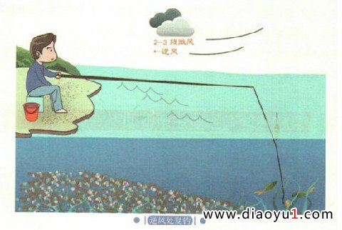 صҪѡ紦
