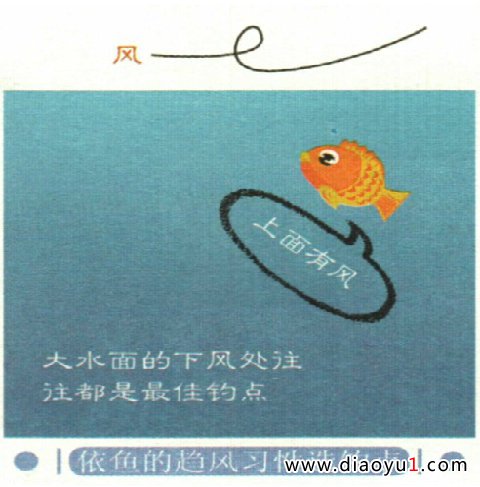 ˮ·紦ѵ